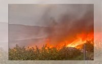 Пожар лумна до къщи в Димитровград, спасиха ферма с 400 животни