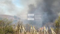 Large Fire Broke Out in Villa Area near Izvorishte