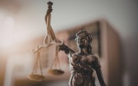 Започва делото срещу мъчителите на животни от Свищов