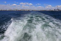 Румъния продължава спасителната операция по издирването на седем моряци
