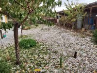 Hailstones the Size of Hazelnuts Hit the Village of Starosel
