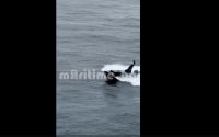 Video Emerges of Maritime Drone Attack on Container Ship off Shabla