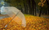 Дъждовно време в петък, с максимални температури между 11&deg; и 16&deg;